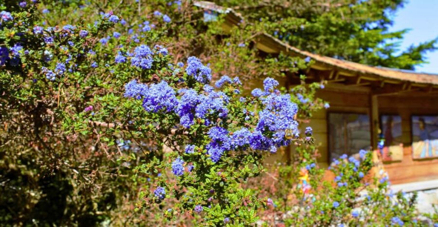 Bainbridge Island Discovery Tour - Tour Overview