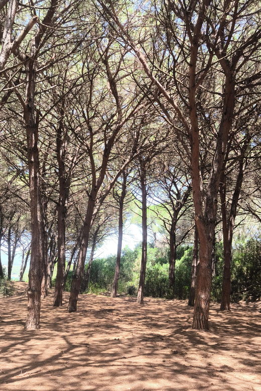 Baratz Lake: Immerse Yourself in Nature and Find Peace