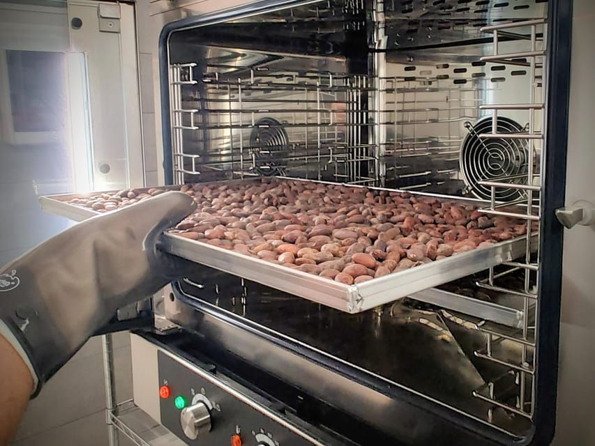 Become a Chocolatier for a Day! - Experience Overview