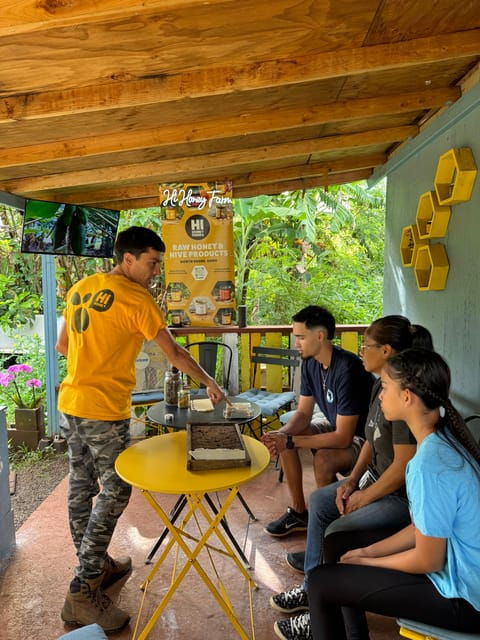 Bee Farm Tour & Honey Tasting