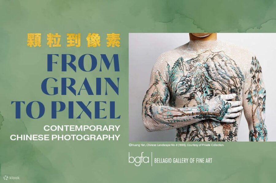 Bellagio Gallery of Fine Art: From Grain to Pixel Exhibit - Exhibition Overview