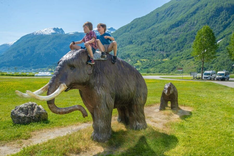 Bergen: Fjord Cruise to Sognefjord and Bøyabreen Glacier - Tour Overview and Pricing