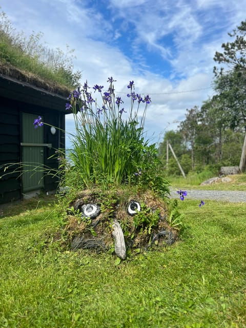 BERGEN I Fløyen Activo - Magical Nature - Hiking Tour - Tour Overview and Pricing