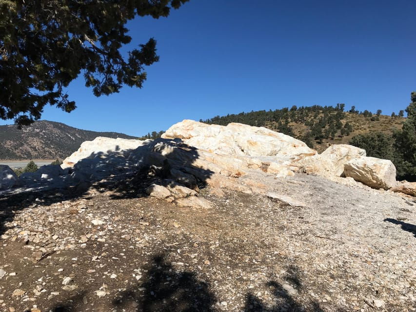 Big Bear Meditation Hike - Activity Overview