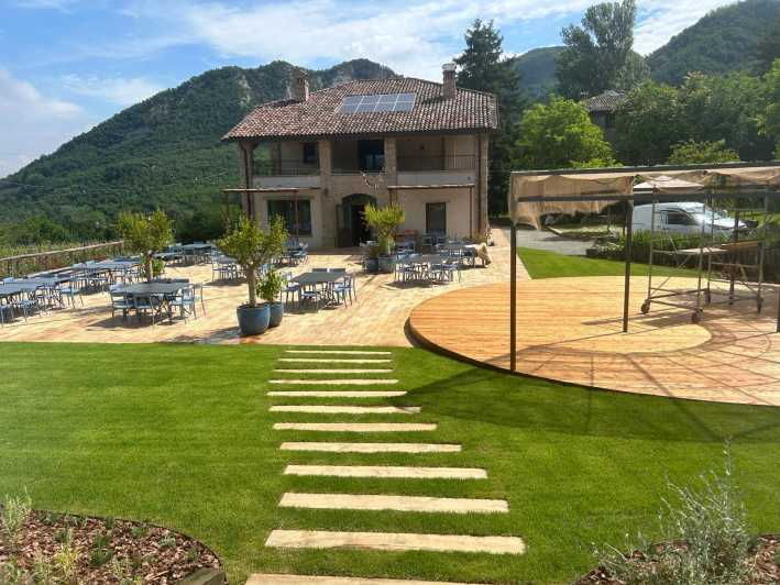 Biodynamics Vineyard Tour and Tasting at Al Di Là Del Fiume