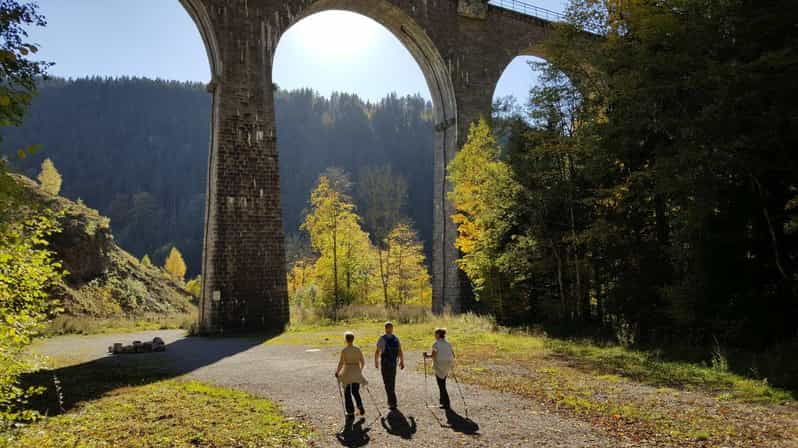 Black Forest: Ravenna Gorge Hike, Self-Guided - Overview and Pricing