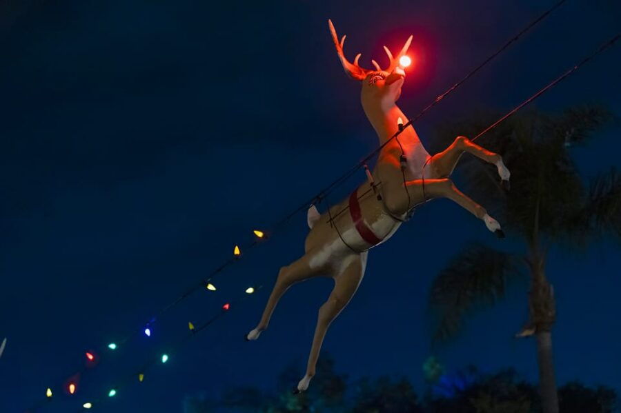 Boston: Holiday Sights and Festive Nights Trolley Tour