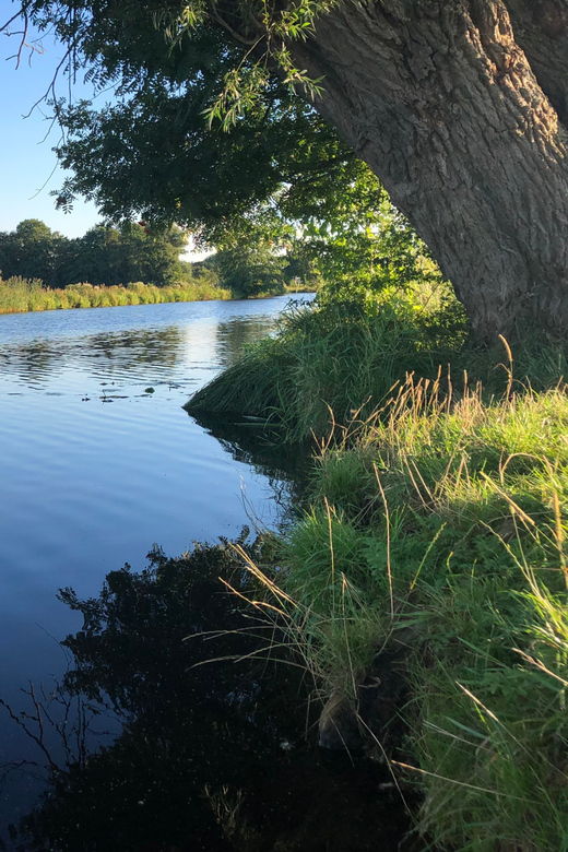 Bremen: Full-Day SUP Rental on the Wümme River