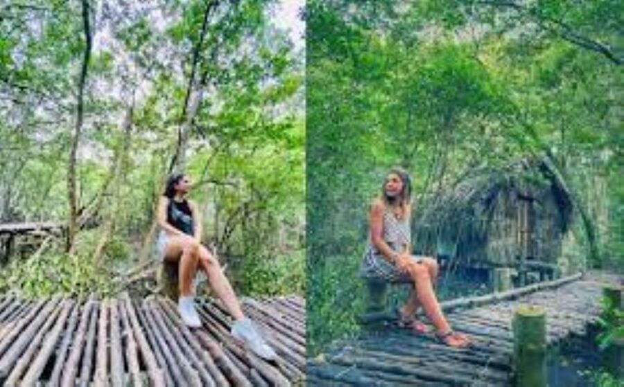 Can Gio Mangrove Forest and Monkey Island Full Day Tour