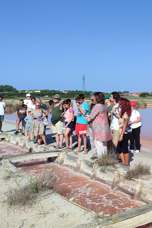 Cervia Salt Pan: by Boat Along the Salt Road