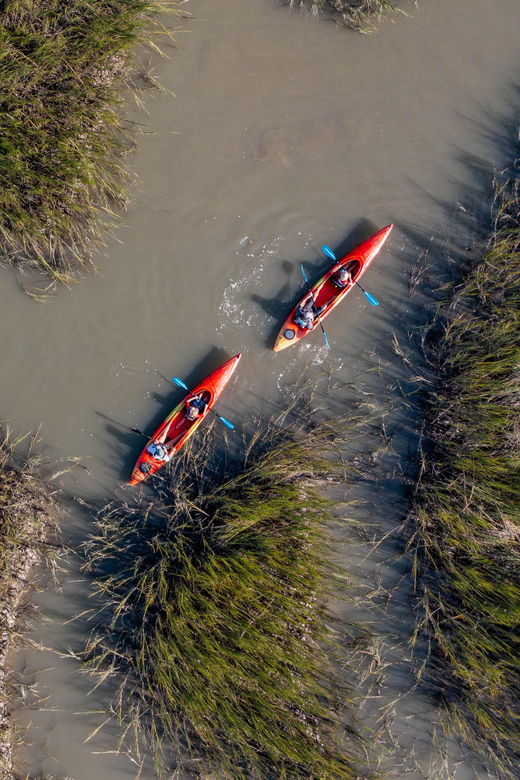 Charleston: Folly Beach Afternoon Kayak Dolphin Safari - Activity Overview