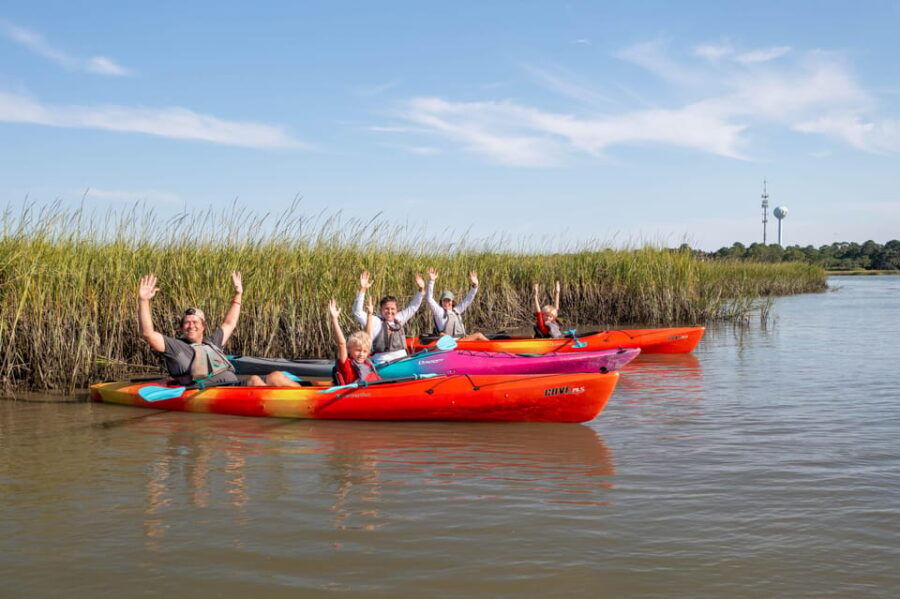 Charleston: Folly Beach Kayak Dolphin Safari - Activity Overview
