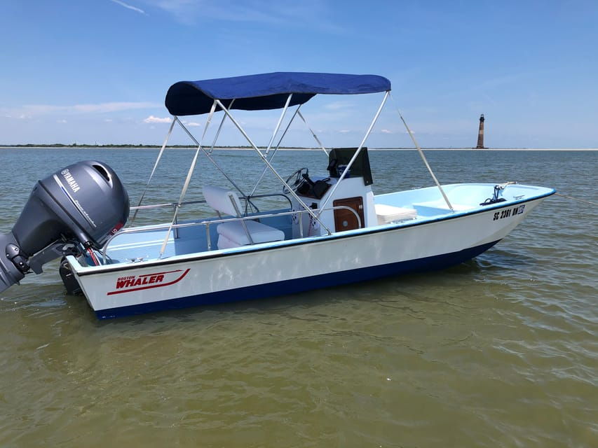 Charleston: Morris Island Dolphin Cruise With Beachcombing - Activity Overview