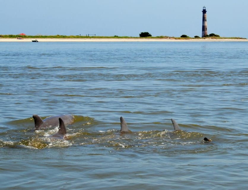 Charleston: Morris Island Lighthouse Eco-Boat Tour - Tour Overview and Pricing