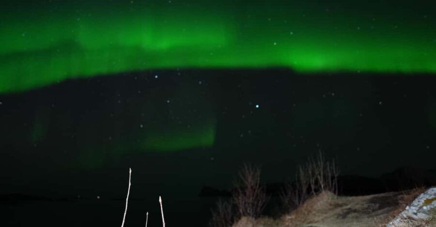 Chase the Magic of the Northern Lights in Tromsø Norway