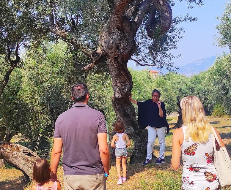 Cilento Olive Experience
