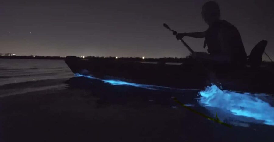 Cocoa Beach/Merritt Island:Bioluminescent Kayak Tour