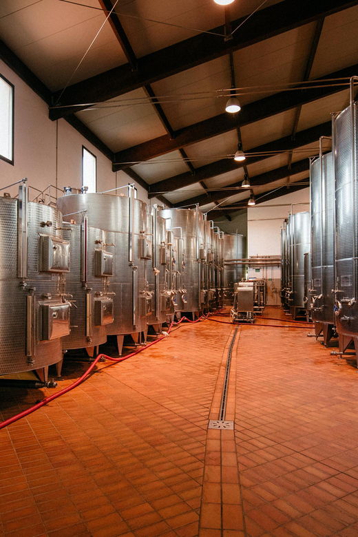 COTARELLA FAMILY, NEAR ORVIETO WINE TASTE AND VISIT - Reservation and Availability Details