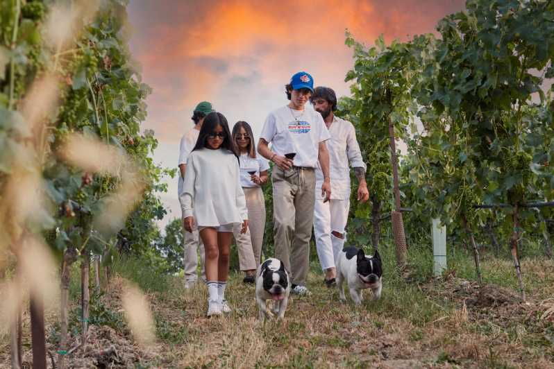 Desenzano Del Garda: Lugana Wine Tasting in the Countryside
