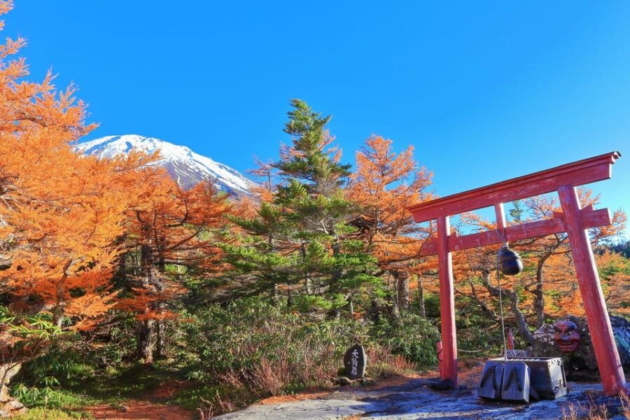 ●Tokyo via Mt. Fuji 5th Station Bus Transfer From Takayama - Overview of the Transfer