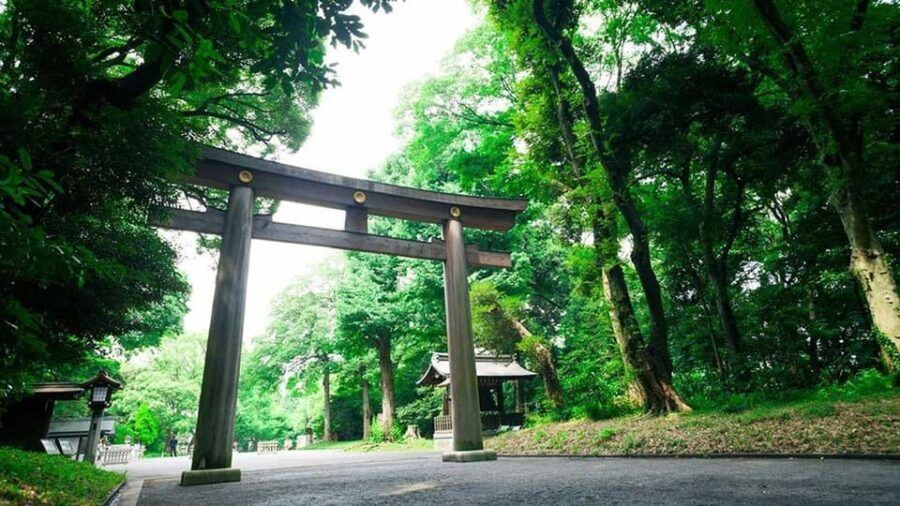 【Muslim Friendly】Tokyo: One-Day Private City Tour - Personalized Itinerary Experience