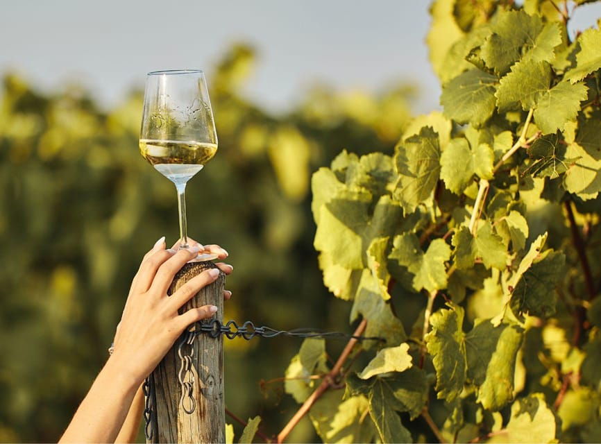 Ercolano Vineyards, View Cellar Wine Tasting and Brunch - Overview and Pricing