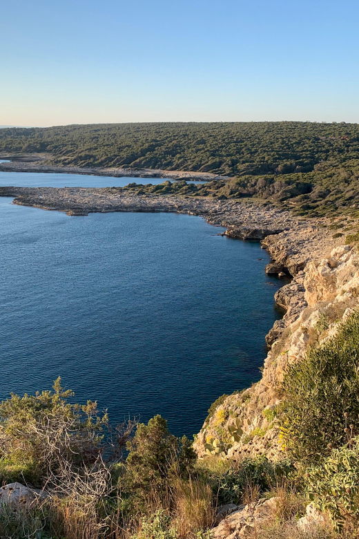 Explore the Beauty of Porto Selvaggio Bike Tour - Tour Overview