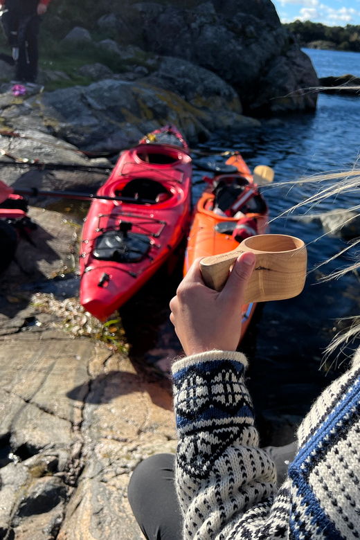 Færvik: Raet National Park Sea Kayaking Trip - Trip Overview and Pricing