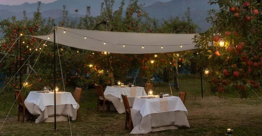 Fine Dining Experience Inside an Orchard in Nagano