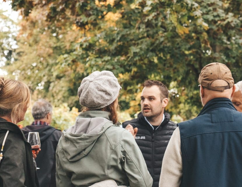 Flörsheim-Dalsheim: Experience Wine Tasting - 10 Wines, 5 Dishes - Overview of Flörsheim-Dalsheim