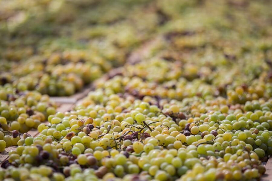 Food and Wine Tour