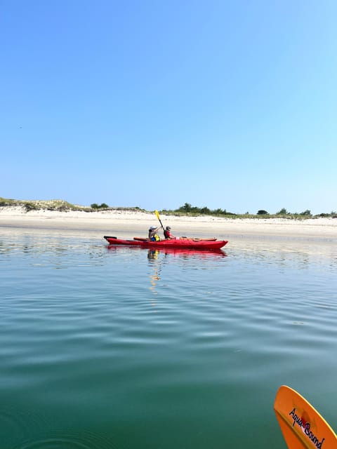 From Boston: Kayak Castle Neck River at Crane Estate - Activity Overview