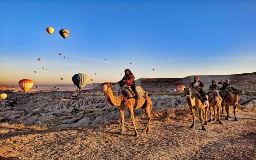 From Cappadocia: Sunrise or Sunset Camel Riding Day Trip - Tour Overview and Pricing