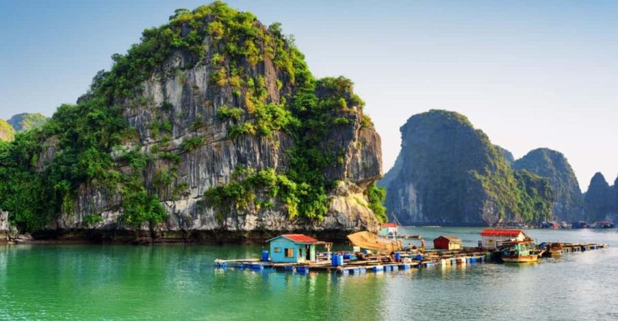 From Cat Ba: Explore Cat Ba & Lan Ha Full Day - Tour Overview and Pricing