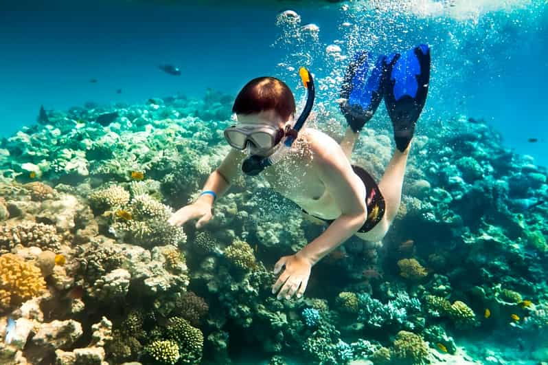 From Da Nang/ Hoi An: Cham Islands & Snorkeling Or Diving