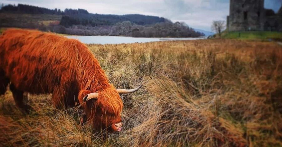 From Edinburgh:The West Highlands, Oban and Glencoe Day Tour