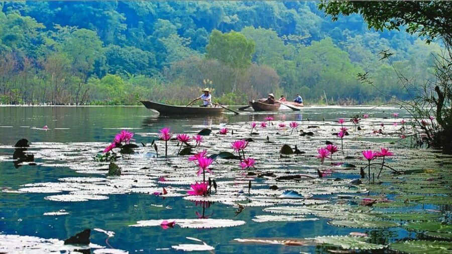 From Ha Noi: Explore Perfume Pagoda & Visit A Big Cave