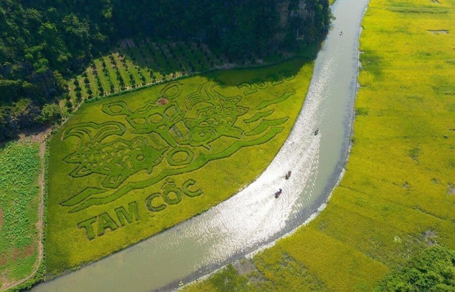 From Ha Noi: Hoa Lu – Tam Coc/ Trang An