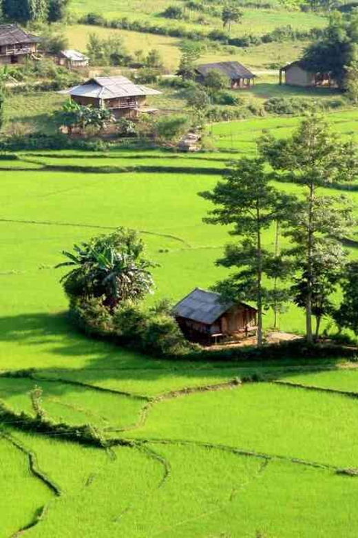 From Hanoi: 3-Day Motorbike Ha Giang Loop With Easy Rider - Tour Overview and Pricing