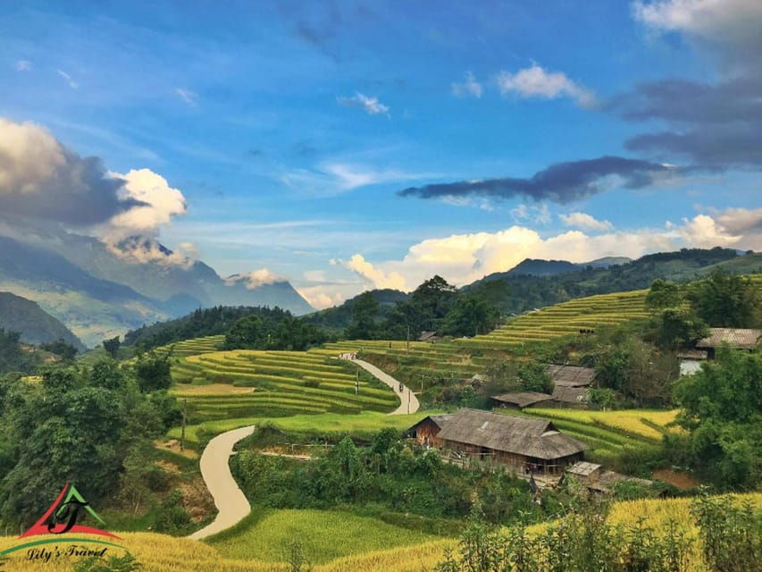 From Hanoi: Admire The Terraced Field In The Local Village