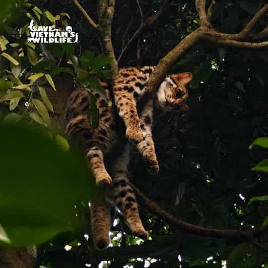From Hanoi Explore Fresh Nature, See Wild Animal & Fireflies