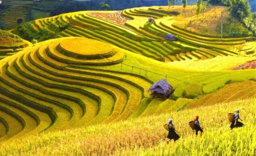 From Hanoi: Explore Sapa In 3 Days 2 Nights