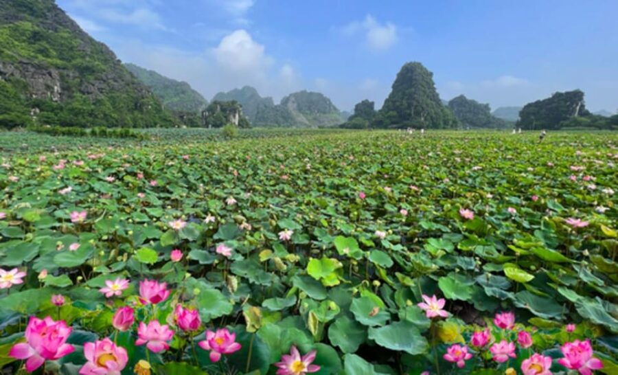 From Hanoi: Ninh Binh – Bai Dinh & Trang An & Mua Cave Tour