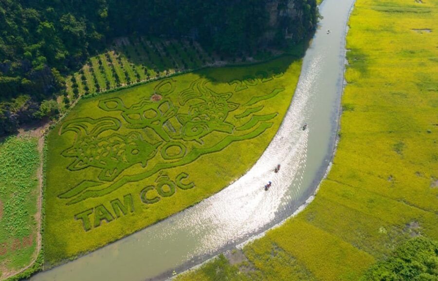 From Hanoi: Ninh Binh Private Tour 2 Days 1 Night - Tour Duration and Price