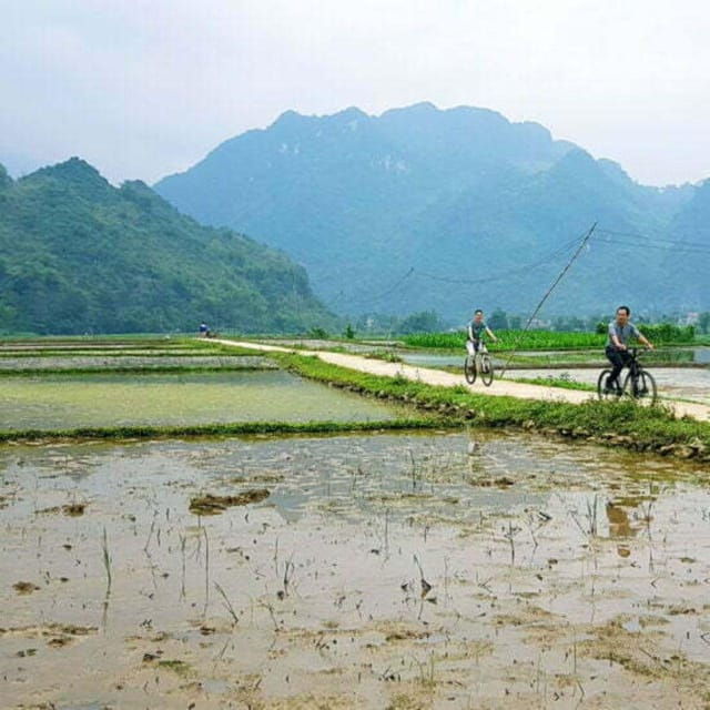 From Hanoi: Pu Luong Nature Reserve Vacation 2D1N - Overview of the Tour