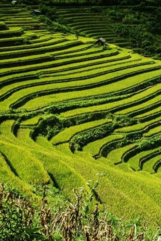 From Hanoi: Sapa Tour 2 Days With Fansipan Peak Visit