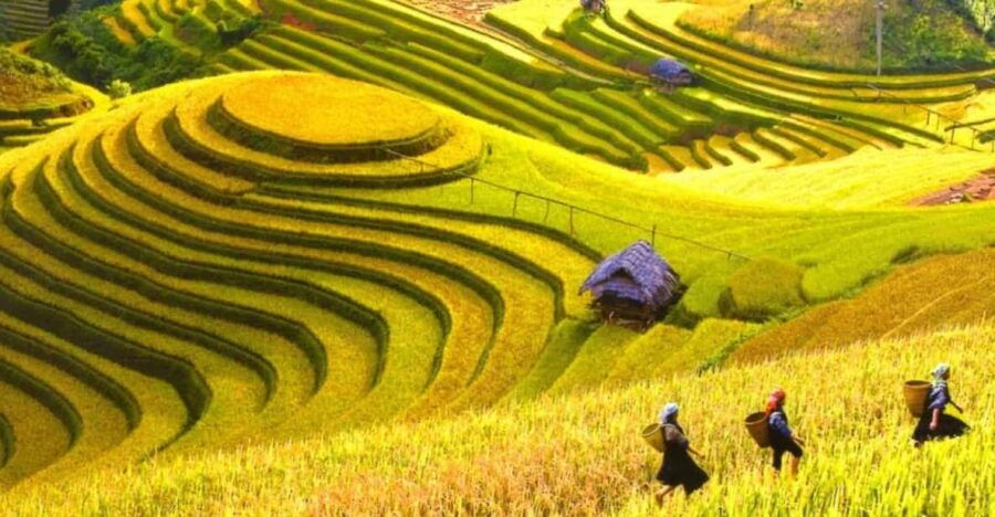 From Hanoi: Sapa Trekking 2DAYS – Sleeper Bus From Hanoi