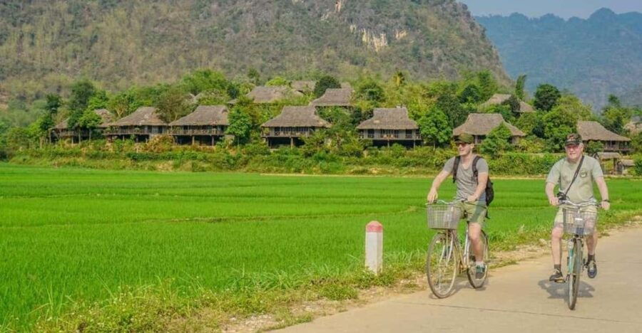 From Hanoi: Visit Ninh Binh – Amire The Rice Fields In 2 Day