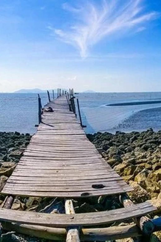 From Ho Chi Minh: Can Gio Mangrove Forest Private Day Tour - Tour Overview and Pricing