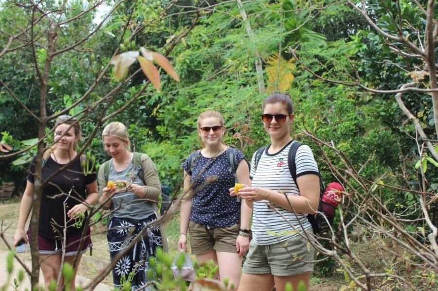 From Ho Chi Minh: Mekong Delta Private Tour With Biking - Overview of the Tour